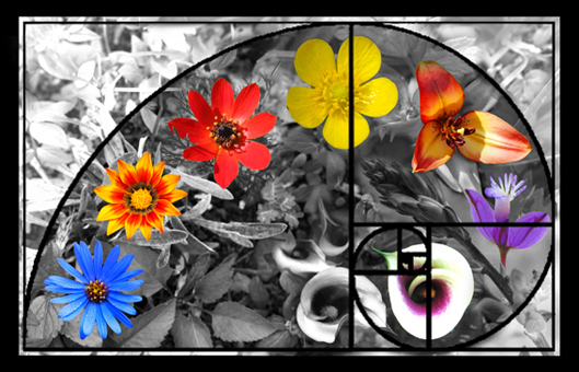 Bloemen rechthoek klein.jpg