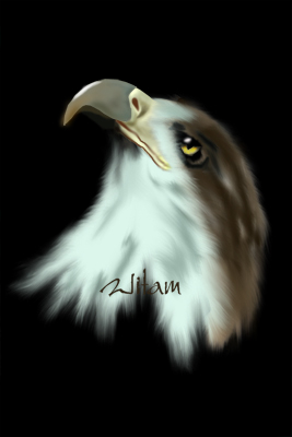 eagle.jpg