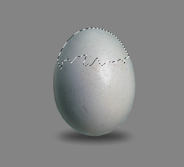 egg_07.jpg