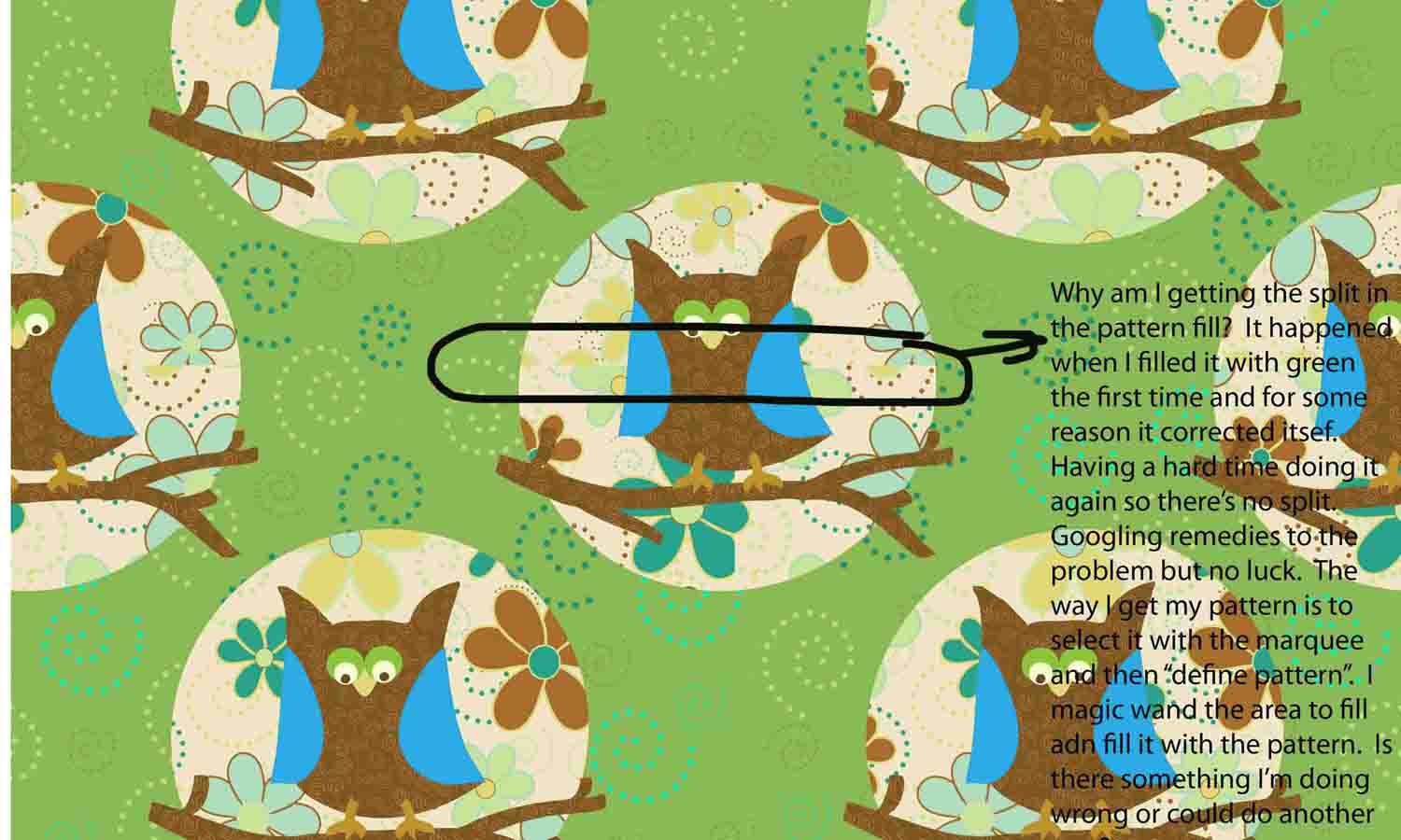 emma owl redone question1.jpg