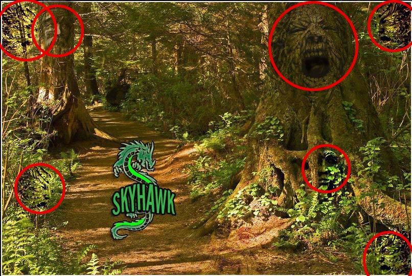 hidden-faces.jpg