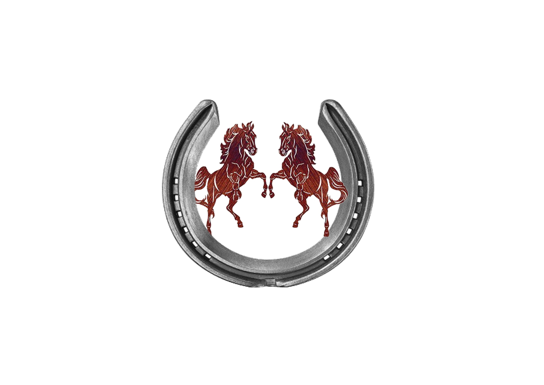 horse and shoe.jpg