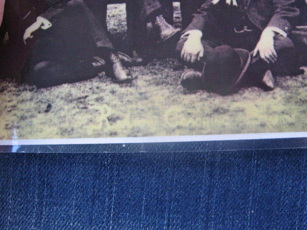 IMG_8437 (1000 x 750).jpg