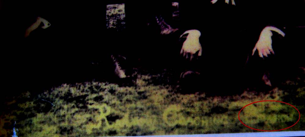 img_8437_1000_x_750_158 copy.jpg