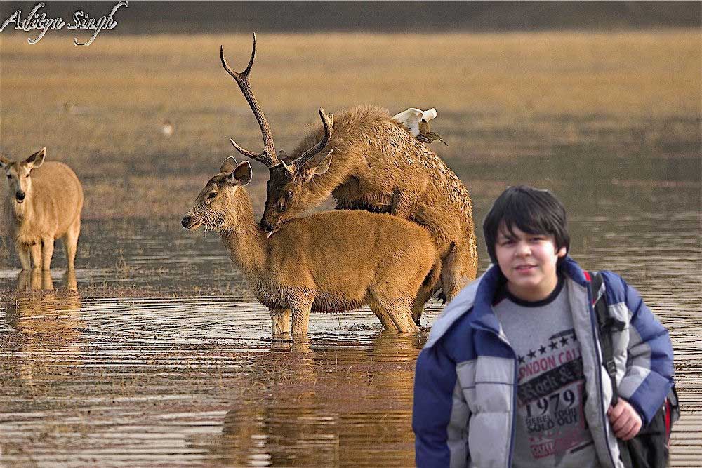 jeffy copy.jpg