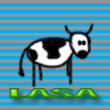 lasa-cow.jpg