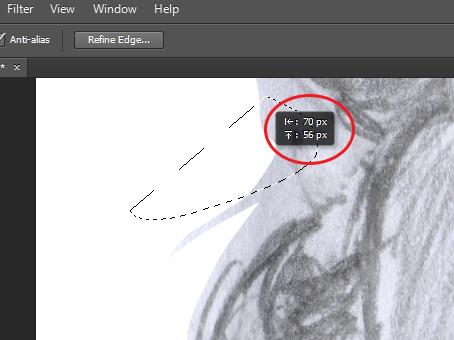 remove photoshop.jpg