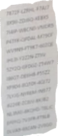Untitled-1 copy.jpg